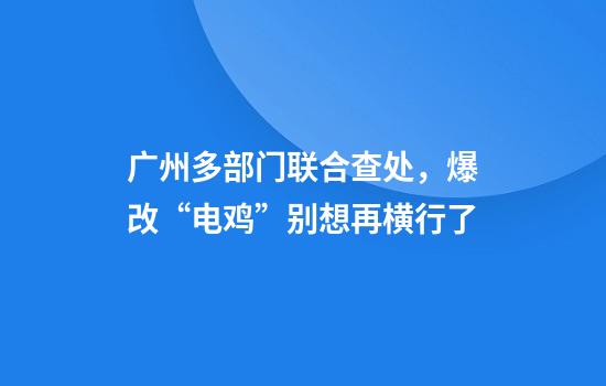 广州多部门联合查处，爆改“电鸡”别想再横行了