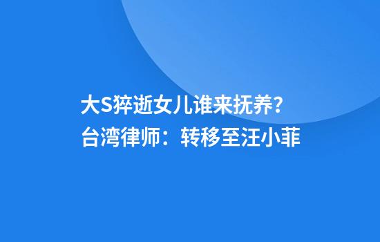 大S猝逝女儿谁来抚养？台湾律师：转移至汪小菲