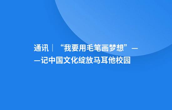 通讯｜“我要用毛笔画梦想”——记中国文化绽放马耳他校园