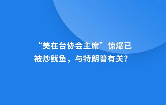 “美在台协会主席”惊爆已被炒鱿鱼，与特朗普有关？