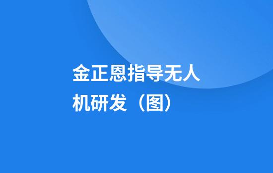 金正恩指导无人机研发（图）