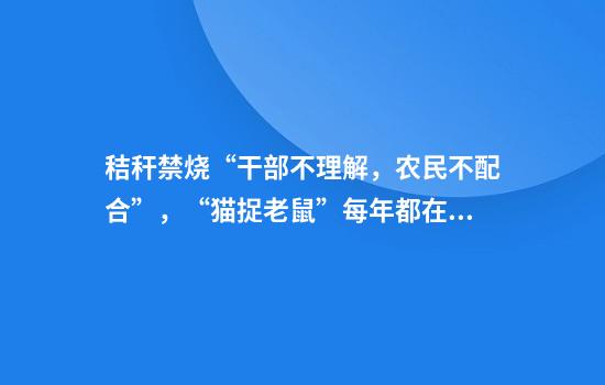秸秆禁烧“干部不理解，农民不配合”，“猫捉老鼠”每年都在上演