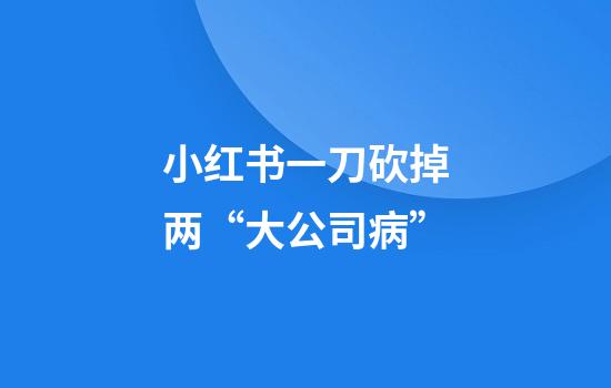 小红书一刀砍掉两“大公司病”