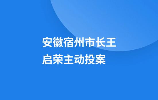 安徽宿州市长王启荣主动投案
